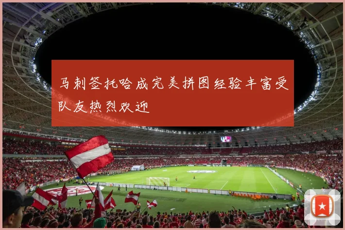 马刺签托哈成完美拼图经验丰富受队友热烈欢迎