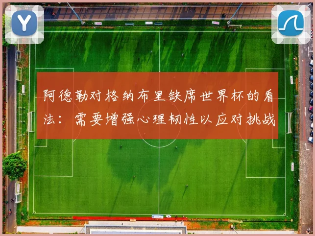 阿德勒对格纳布里缺席世界杯的看法：需要增强心理韧性以应对挑战
