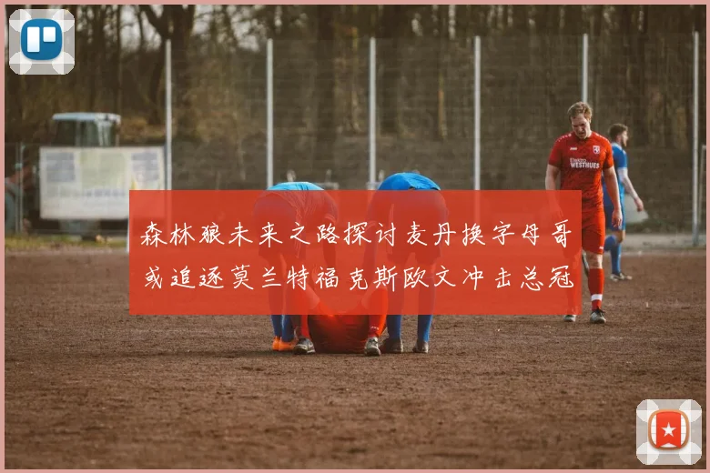 森林狼未来之路探讨麦丹换字母哥或追逐莫兰特福克斯欧文冲击总冠军